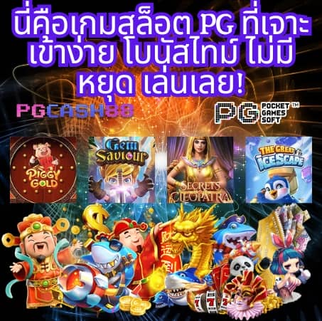 pgzeed24